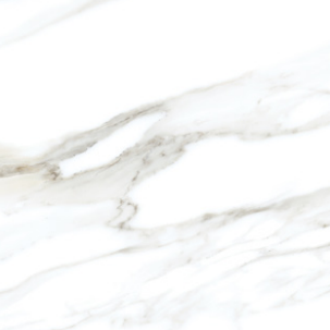 BT PE 6068M ��ǥ�̹���