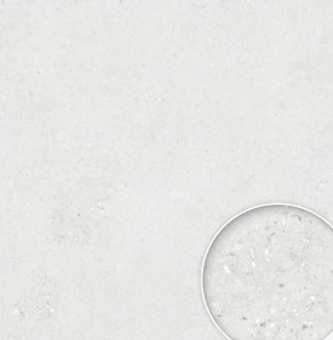 BT PE 6077MG ��ǥ�̹���