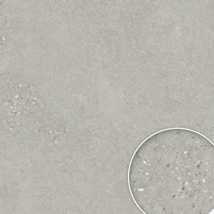 BT PE 6078MG ��ǥ�̹���