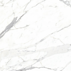 BT PE 6096MG ��ǥ�̹���