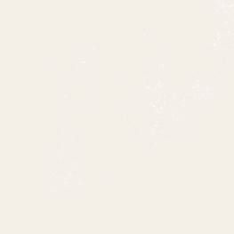 BT PE CP 9002MG ��ǥ�̹���