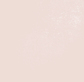 BT PE CP 9004MG ��ǥ�̹���