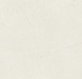 BT PE CP 9013MG ��ǥ�̹���