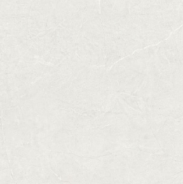 BT PE CP 9014MG ��ǥ�̹���