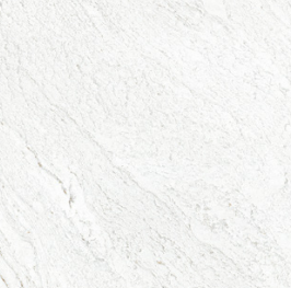 BT PE CP 9017MG ��ǥ�̹���