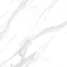 BT PE 6001G ��ǥ�̹���