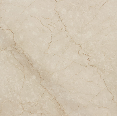 VG GP8011 ��ǥ�̹���