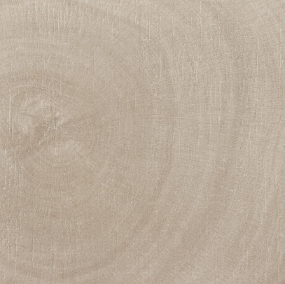 VG WOOD-B ��ǥ�̹���