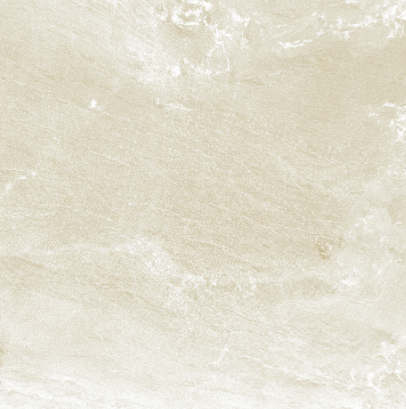 VG SDX6733P ��ǥ�̹���