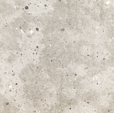 VG TER 03 ��ǥ�̹���