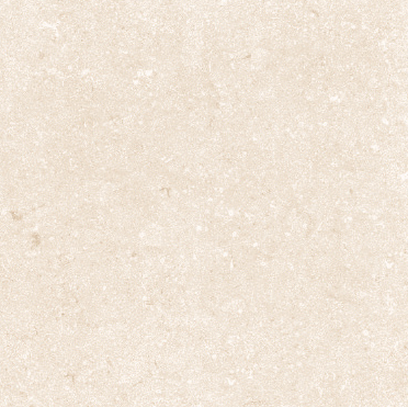 VG MC01 ��ǥ�̹���