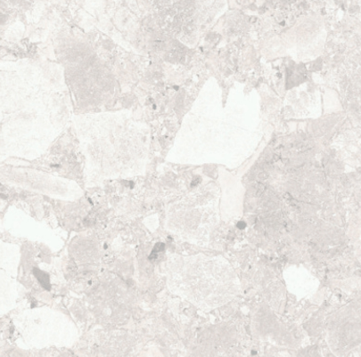 VG CIENA01 ��ǥ�̹���