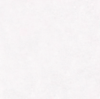 VG HOLY WHITE ��ǥ�̹���