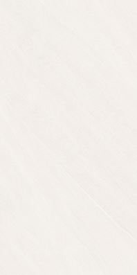 SG V2881 ��ǥ�̹���