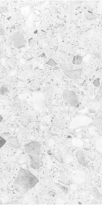 SG V2646T ��ǥ�̹���