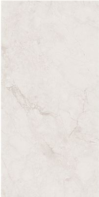 SG V2522 ��ǥ�̹���