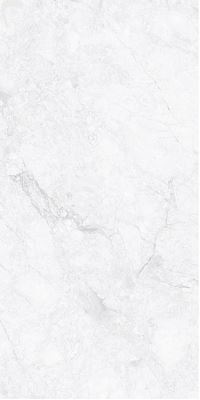 SG V2521 ��ǥ�̹���