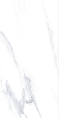 SG V2511S ��ǥ�̹���