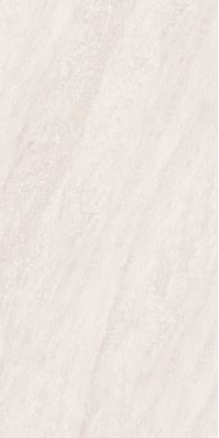 SG V2352T ��ǥ�̹���