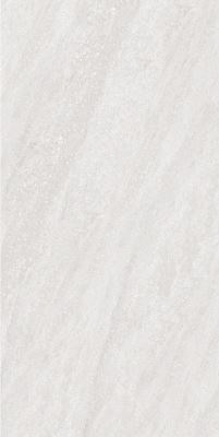 SG V2351T ��ǥ�̹���