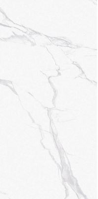 SG V1701 ��ǥ�̹���