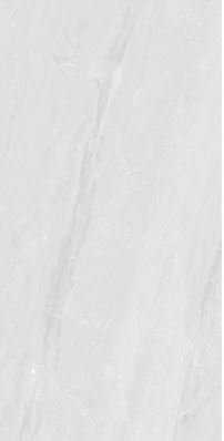 SG V1351 ��ǥ�̹���