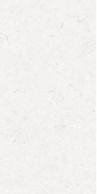 SG EM2971T ��ǥ�̹���