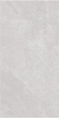 SG 2281TM ��ǥ�̹���