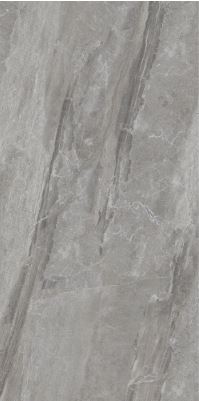 SG 1356 ��ǥ�̹���