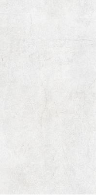 SG 0321T ��ǥ�̹���