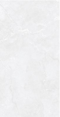 SG 2141 ��ǥ�̹���