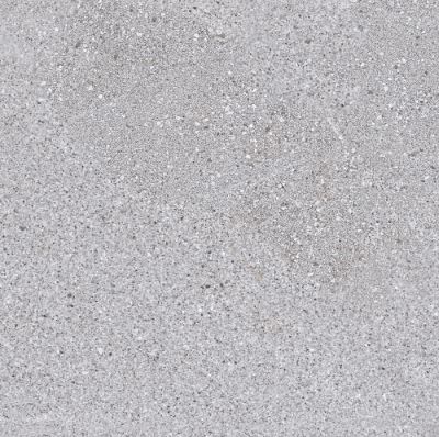 SG S30081 ��ǥ�̹���