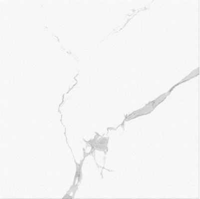 SG 30221 ��ǥ�̹���