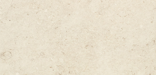 VG WT4804 ��ǥ�̹���