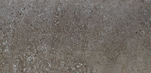 VG WT3633 ��ǥ�̹���