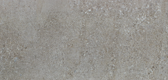 VG WT3631 ��ǥ�̹���