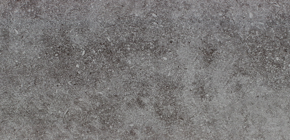 VG WT3627 ��ǥ�̹���