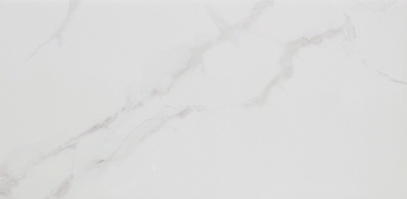 VG WT3605 ��ǥ�̹���