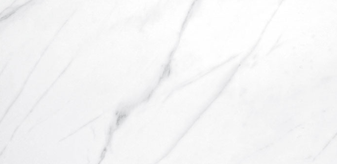 VG T6026A ��ǥ�̹���