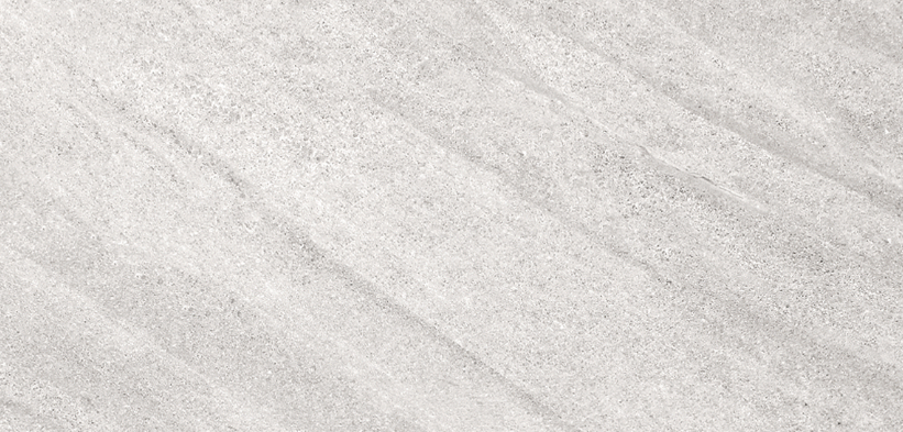 VG WT3642 ��ǥ�̹���