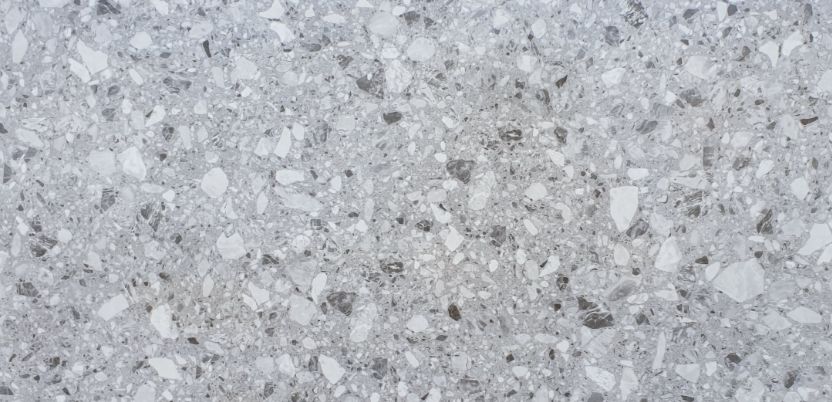 VG WT3649 ��ǥ�̹���