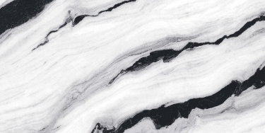 VG WT36M22 ��ǥ�̹���