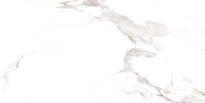 VG WT36P19 ��ǥ�̹���