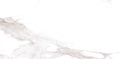 VG WT36M18 ��ǥ�̹���