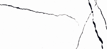 VG WT36M20 ��ǥ�̹���