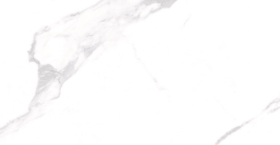 VG WT36P31 ��ǥ�̹���