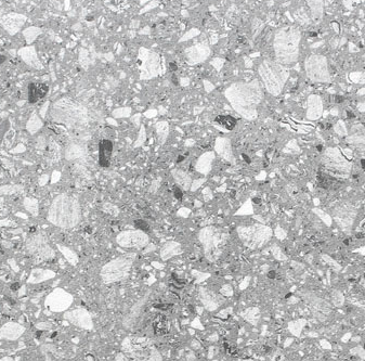 VG 3324 ��ǥ�̹���