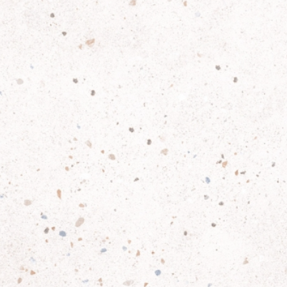 VG STAR WHITE ��ǥ�̹���