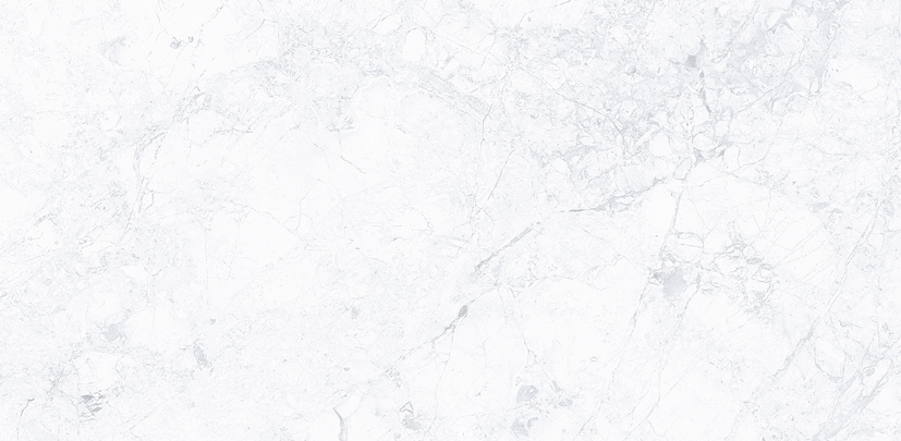 KC 2521 ��ǥ�̹���