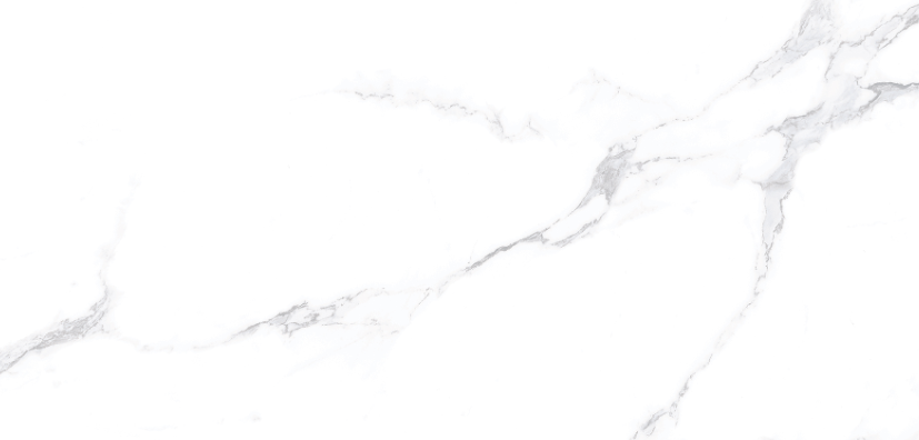 KC 2911LY ��ǥ�̹���